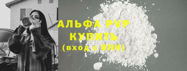 PSILOCYBIN Зерноград
