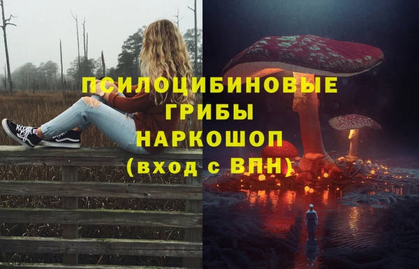 PSILOCYBIN Зерноград